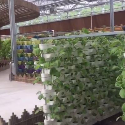 Système d'aquarium aquaponique commercial Serres PO préfabriquées pour légumes