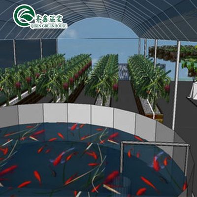 Serre agricole à prix abordable pour jardin à tour à couche unique pour l'aduaponie