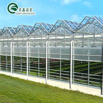 Verres Fruits Fleurs Tomates Serre avec système d'ombrage intérieur et extérieur