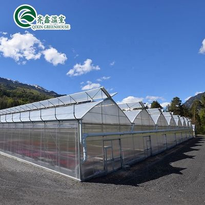 Matériau de couverture de la feuille PC Serre agricole multifonctionnelle pour la culture des légumes