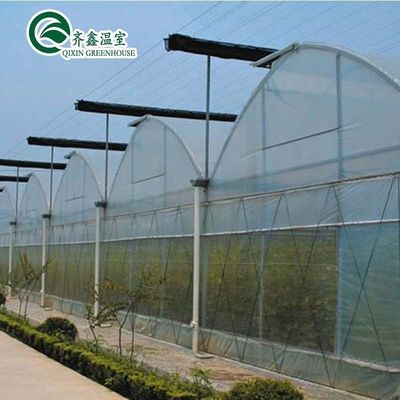 Serre en polytunnel recouverte de film plastique avec système hydroponique et ventilation