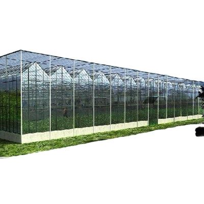 Tunnel de jardin de serre sur mesure avec feuille de verre ou de PC