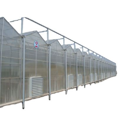Plaque de polycarbonate recouvrant des panneaux solaires transparents pour serres très demandées