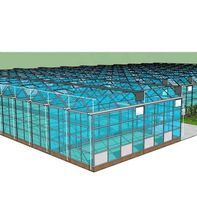 Produits végétaux Fruits Fleurs Système aquaponique Serres agricoles multifonctions Résultat