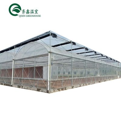 Serre hydroponique à double couche pour la culture de tomates dans un environnement contrôlé