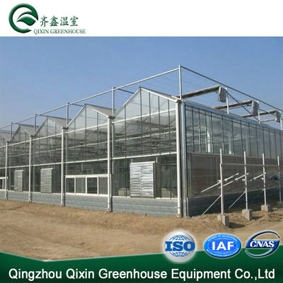 Produits végétaux Fruits Fleurs Tomates Galvanisation à chaud Structure en acier d'aluminium Serre