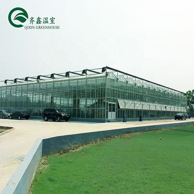 Grande serre en verre agricole sur mesure avec système de gouttière hydroponique en PVC