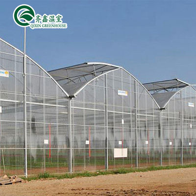 Serre de tomates adaptée à la ventilation avec seau hollandais et revêtement en plastique