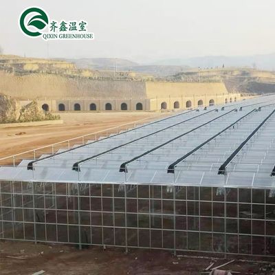 Serres agricoles multifonctionnées Abri préfabriqué contre la pluie pour la culture de tomates
