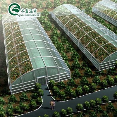 Produits hydroponiques pour serres à une seule étendue refroidissement irrigation ventilation et plus