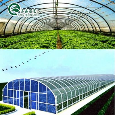 Produits hydroponiques pour serres à une seule étendue refroidissement irrigation ventilation et plus