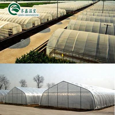 Produits hydroponiques pour serres à une seule étendue refroidissement irrigation ventilation et plus