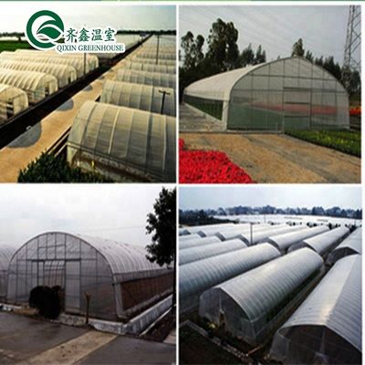 Produits hydroponiques pour serres à une seule étendue refroidissement irrigation ventilation et plus