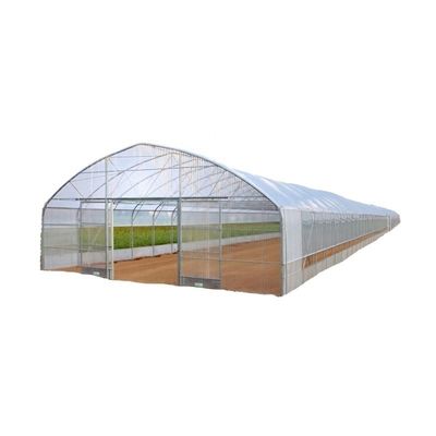 Serre tunnel Choisissez une taille personnalisable Serres agricoles à une seule étendue aujourd'hui