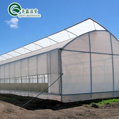 Serre tunnel Choisissez une taille personnalisable Serres agricoles à une seule étendue aujourd'hui