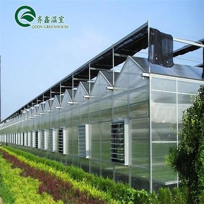 Structure principale Galvanisation à chaud Acier d'aluminium Serre préfabriquée pour la culture de tomates
