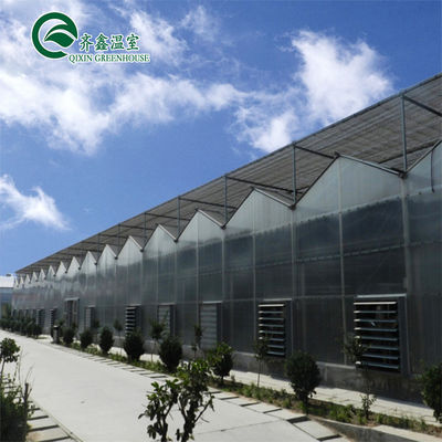 Structure principale Galvanisation à chaud Acier d'aluminium Serre préfabriquée pour la culture de tomates