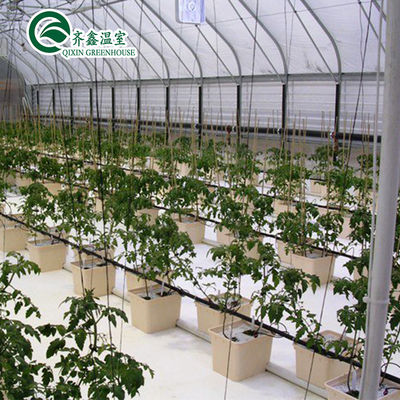 PE Systèmes de tuyauterie hydroponique verticale pour la distribution d'eau dans l'agriculture à serre