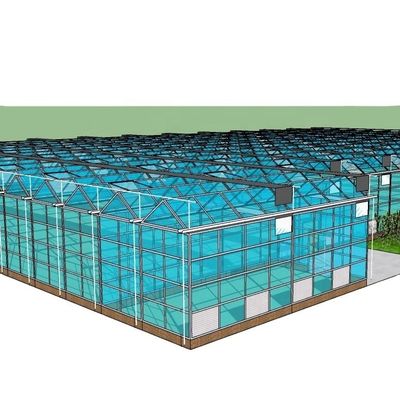 Structure principale Galvanisation à chaud Acier d'aluminium Serre préfabriquée pour la culture de tomates