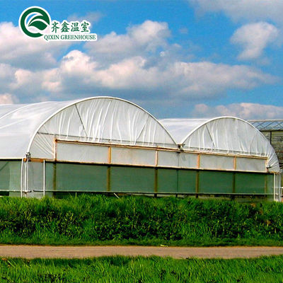 PE Systèmes de tuyauterie hydroponique verticale pour la distribution d'eau dans l'agriculture à serre
