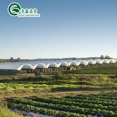 PE Systèmes de tuyauterie hydroponique verticale pour la distribution d'eau dans l'agriculture à serre