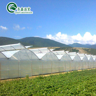 PE Systèmes de tuyauterie hydroponique verticale pour la distribution d'eau dans l'agriculture à serre