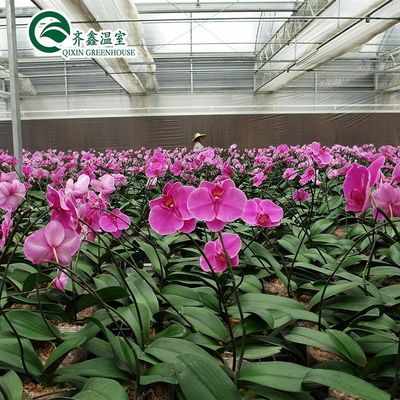 Système d'aquarium aquaponique commercial Serres PO préfabriquées pour légumes