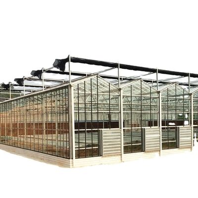 Grande serre en verre agricole sur mesure avec système de gouttière hydroponique en PVC