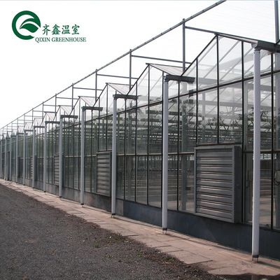 Grande serre en verre agricole sur mesure avec système de gouttière hydroponique en PVC