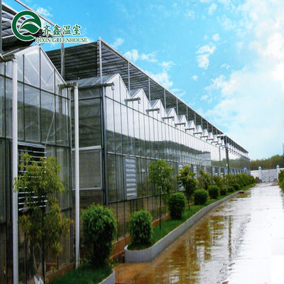 Grande serre en verre agricole sur mesure avec système de gouttière hydroponique en PVC