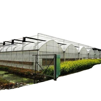 Système d'ombrage à l'intérieur Appareils de serre à champignons pour fruits et fleurs et légumes