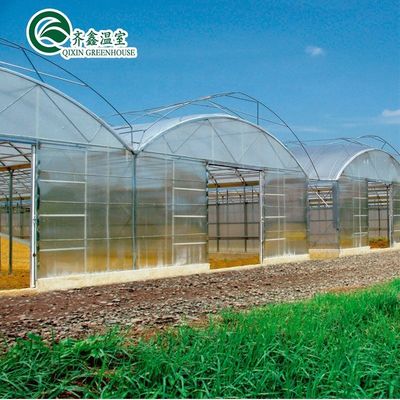 Serres agricoles à double ou à une seule couche et à longue portée pour l'agriculture personnalisable