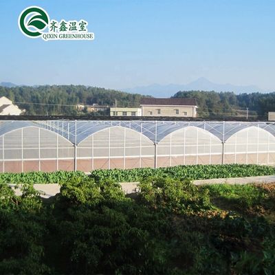 Serres agricoles à double ou à une seule couche et à longue portée pour l'agriculture personnalisable