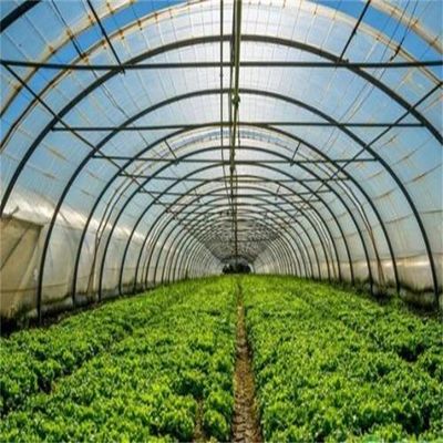 Couverture du film Serre agricole à couche unique pour une agriculture durable