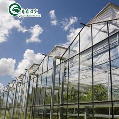 Grande serre en verre champignon jardin de tour aéroponique pour l'instruction de restaurant écologique