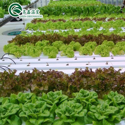 Serres agricoles multifonctions avec systèmes de culture hydroponique en conteneurs usagés