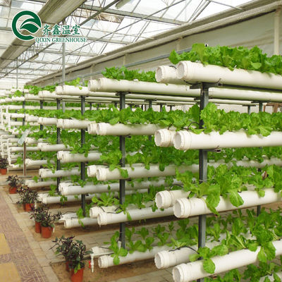 Système hydroponique vertical recouvert de verre pour la culture des légumes, des fruits et des fleurs