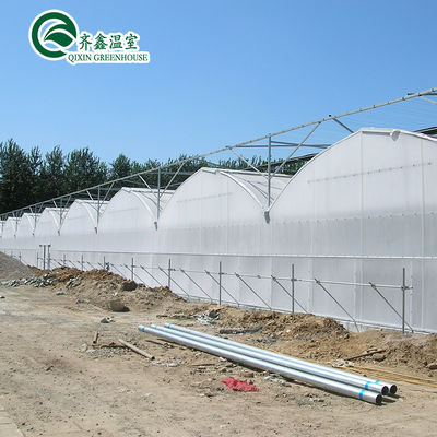 Serres agricoles multifonctions avec systèmes de culture hydroponique en conteneurs usagés