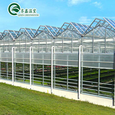 Système hydroponique vertical recouvert de verre pour la culture des légumes, des fruits et des fleurs