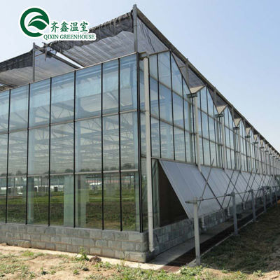 Système hydroponique vertical recouvert de verre pour la culture des légumes, des fruits et des fleurs