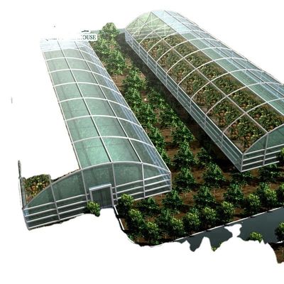 Cultivez vos propres légumes fruits et fleurs avec notre serre commerciale Philippines