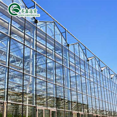 Système hydroponique vertical recouvert de verre pour la culture des légumes, des fruits et des fleurs