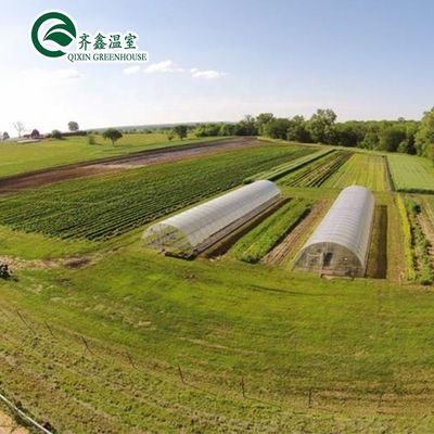 Cultivez vos propres légumes fruits et fleurs avec notre serre commerciale Philippines