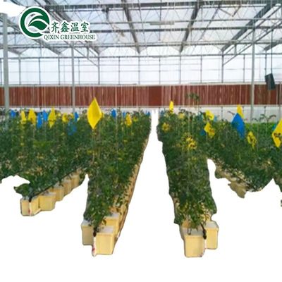 Système d'aquarium aquaponique commercial Serres PO préfabriquées pour légumes