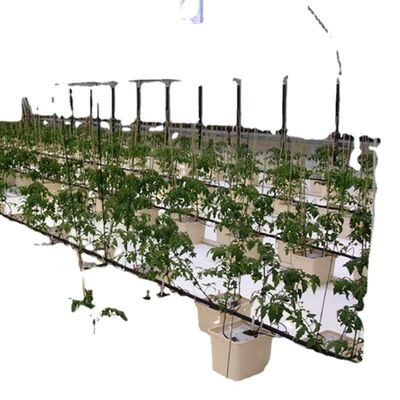 Système d'aquarium aquaponique commercial Serres PO préfabriquées pour légumes