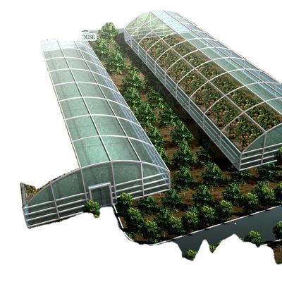 Système d'aquarium aquaponique commercial Serres PO préfabriquées pour légumes