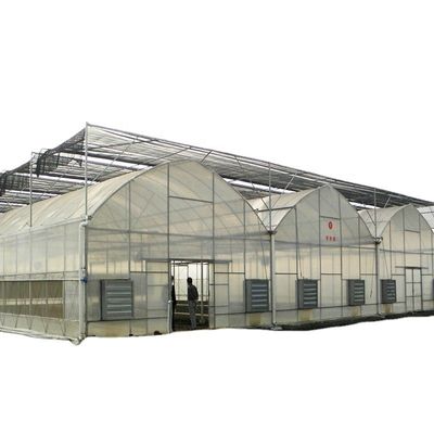 Contenant utilisé Tomate Serre Matériau PE Système de ventilation facultatif