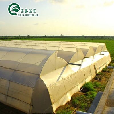 Contenant utilisé Tomate Serre Matériau PE Système de ventilation facultatif
