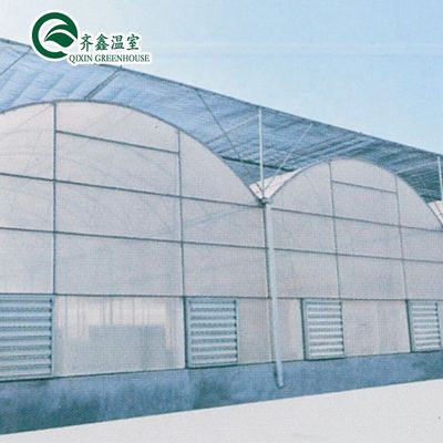 Contenant utilisé Tomate Serre Matériau PE Système de ventilation facultatif