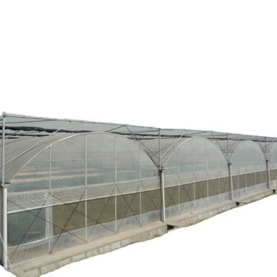 Contenant utilisé Tomate Serre Matériau PE Système de ventilation facultatif